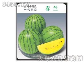 吃瓜娱乐圈小兰花,娱乐圈的甜蜜瓜果，揭秘明星背后的故事